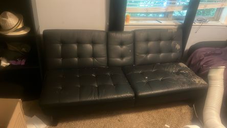 Leather foldable bed coach