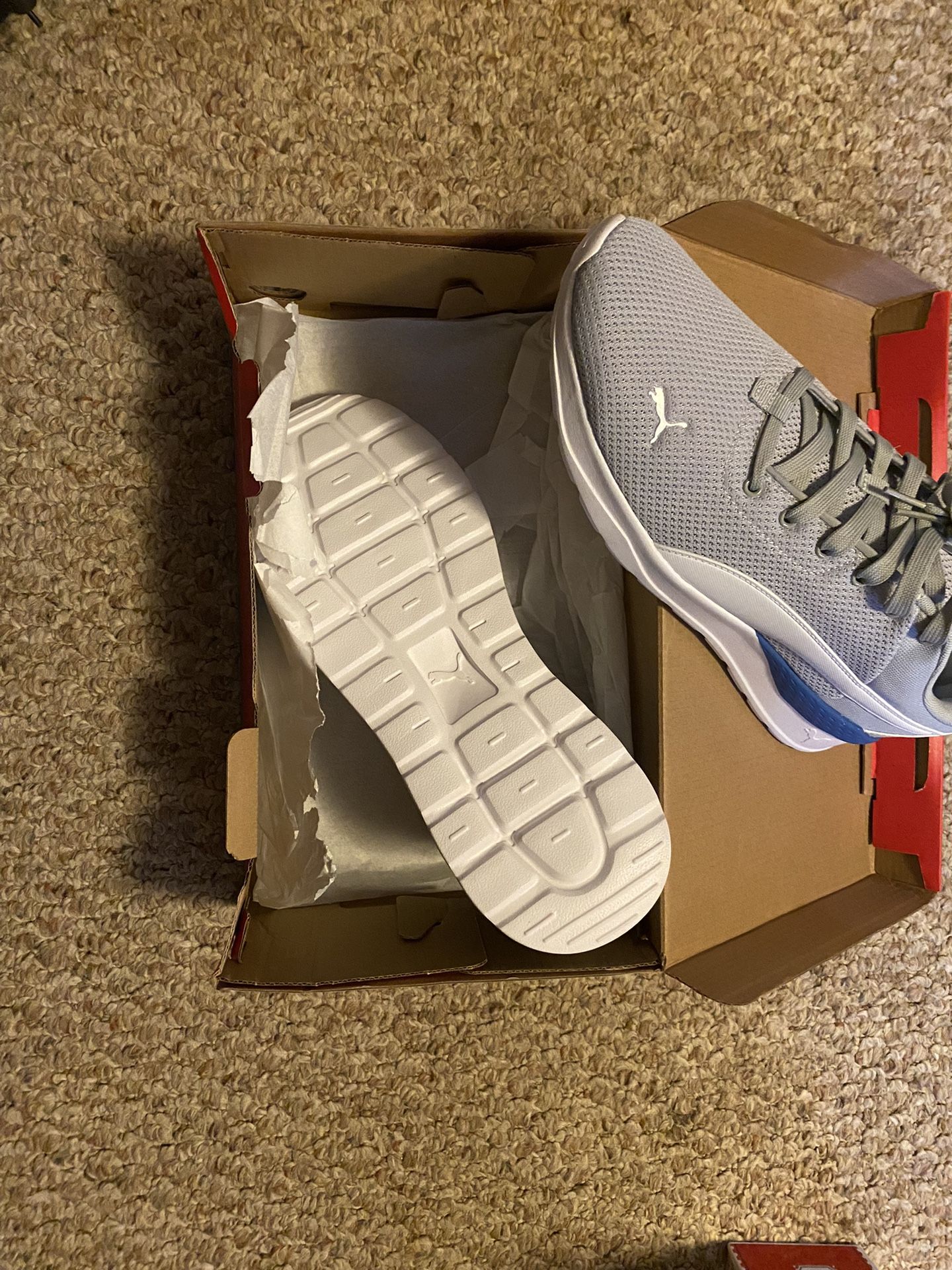 Size 11 Pumas