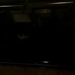 Vizio 42” TV