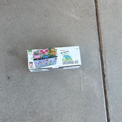 Paint And Grow Flower Pot