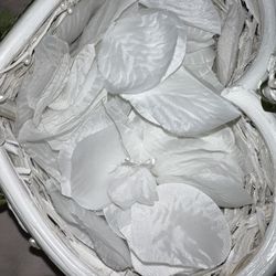 Rose Petals