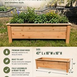 Raised Garden Beds