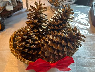 🌲 6"&7"Pinecones