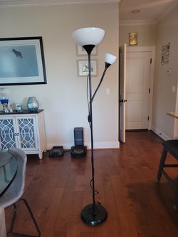 Floor Lamp with Adjustable Arm