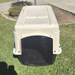 Dog Crates 