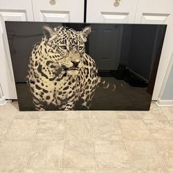 beautiful 48 by 30 inch wall art. (MUST SELL TODAY)