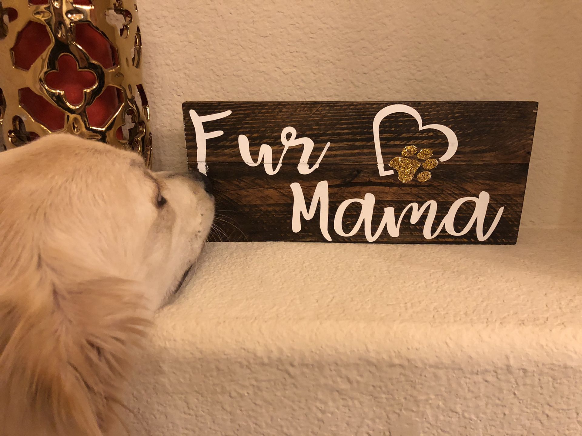 Fur mama wood sign