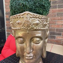 Very Gorgeous 🏺 And Plant