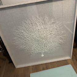 2 Large Art Work Coral  Sea Fan 