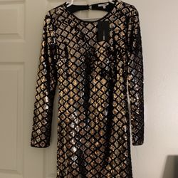 Sequin Fashion Nova Dress