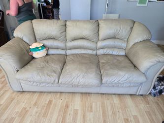 Couch and Loveseat