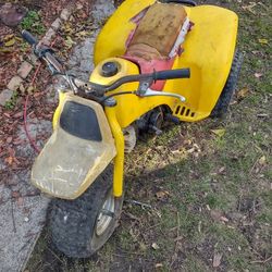 1984 Yamaha 3 Wheeler
