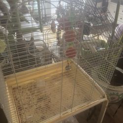 Bird Cage 