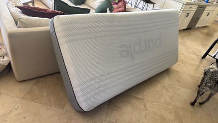 Purple 4 twin xl with bed frame