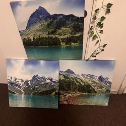•	3-piece canvas set