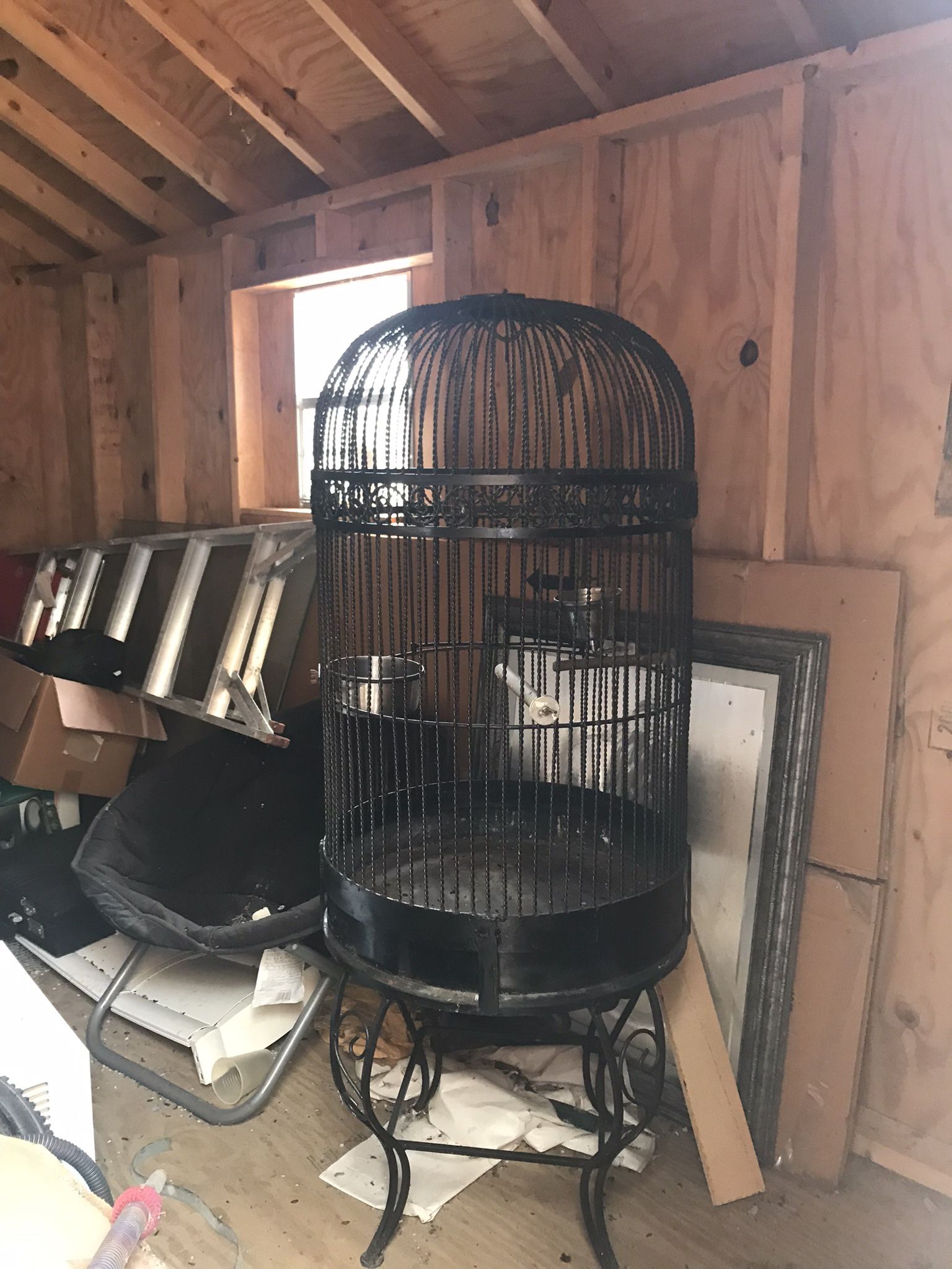 Bird Cage