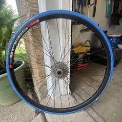 dt swiss pees 29 Wheel + Tire + Shimano HG (GS-HG 400-9) G
