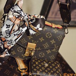 Small Luxury Handbag/ Crossbody