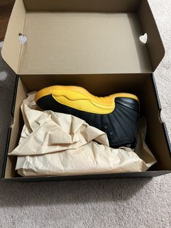 Jordan 12 University Gold DS