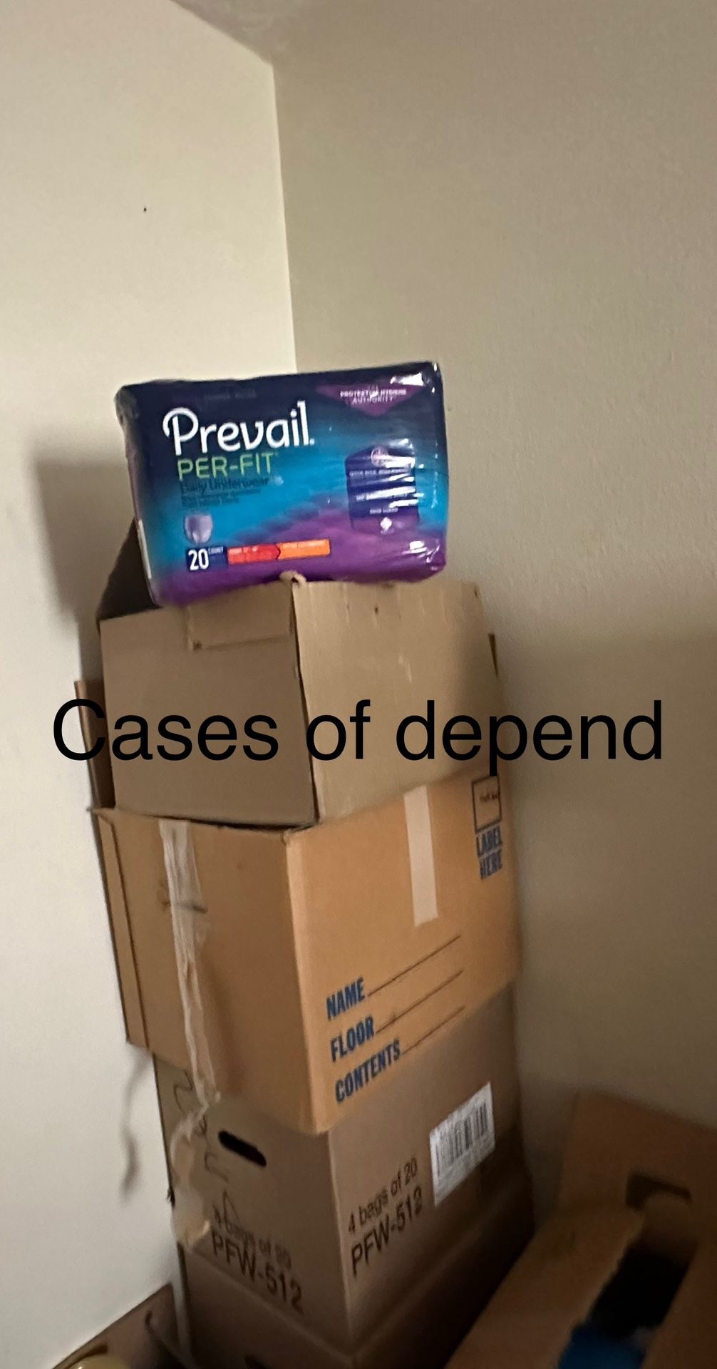 Underwear Adult 