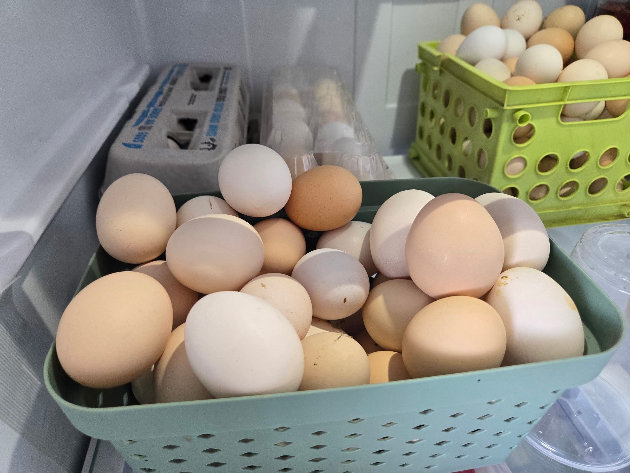 Eggs