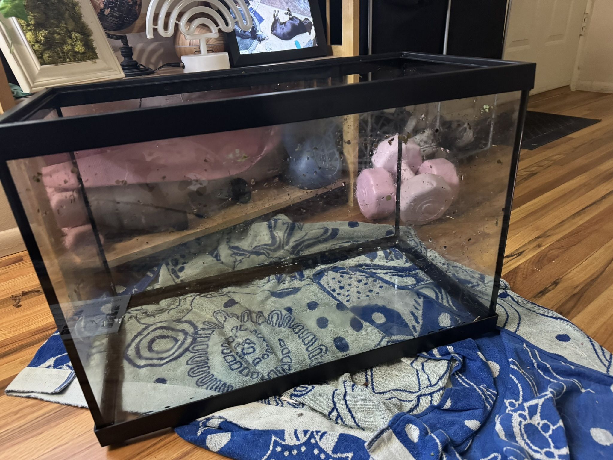 Aquarium/ Terrarium