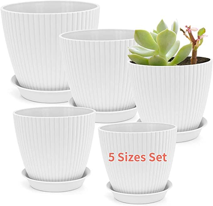 P lastic Plant Pots 7.6/7/6.2/5.4/5 Inch Outdoor and Indoor Garden Planters Set of 5,Drainage Flower Pot with Plant Tray 10Pcs Kit for Cactus Plant,Su