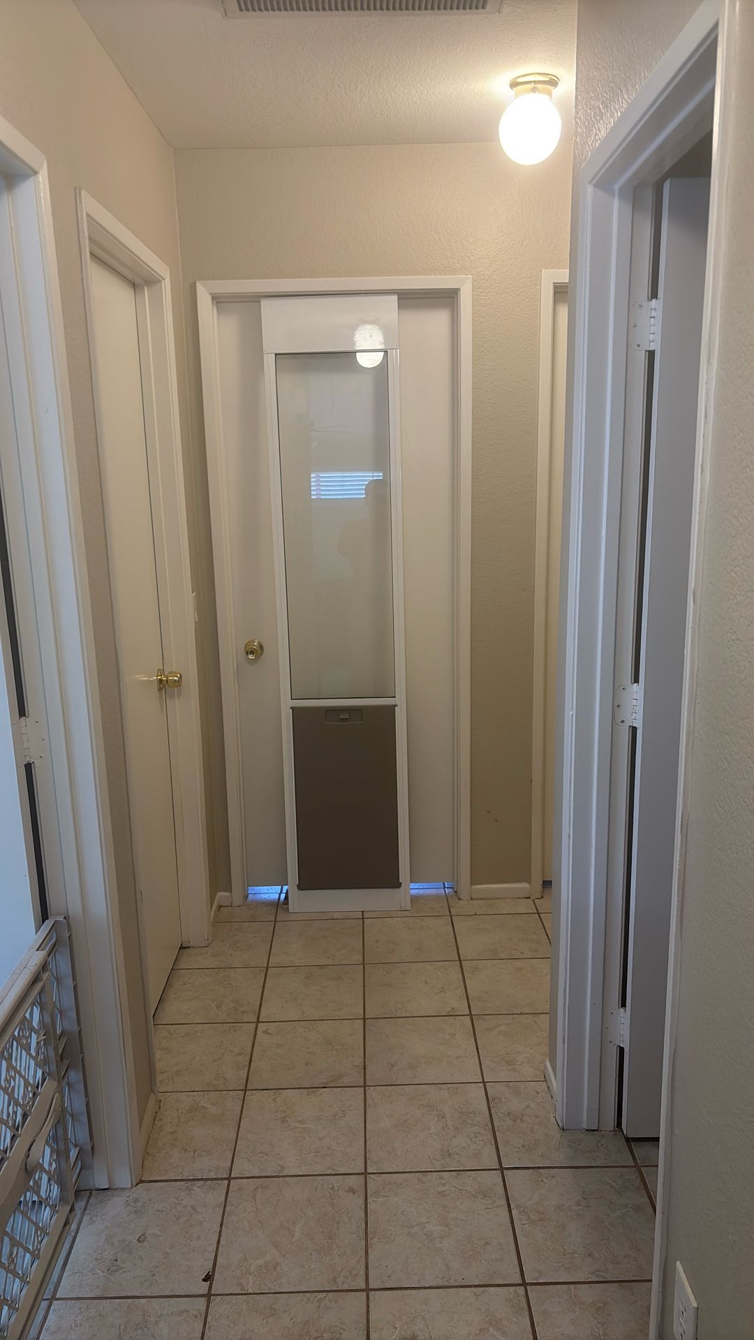 Doggy Door 