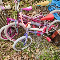 3 Girls Bikes All Different Sizes 