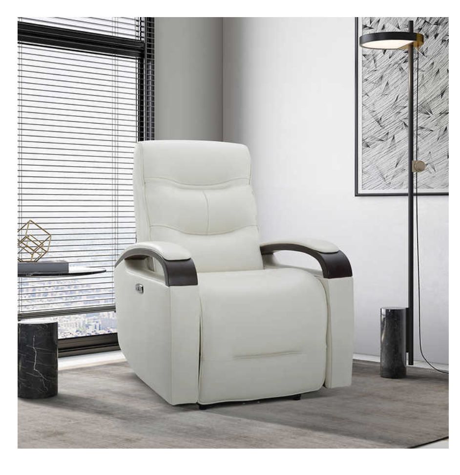 NEW in a box Canmore Leather Power Recliner with Power Headrest