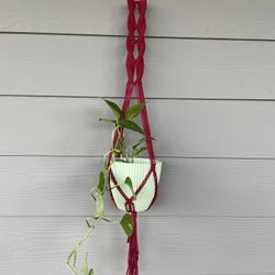 Macrame Plant Hanger