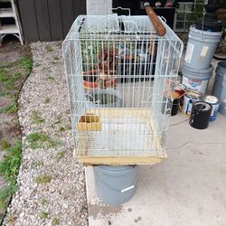 Bird Cage. Jaula Pajaro