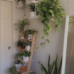 ladder shelf