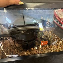 10 Gal Fish Tank & Set Up 