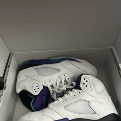 Jordan Grape 5s Size 9