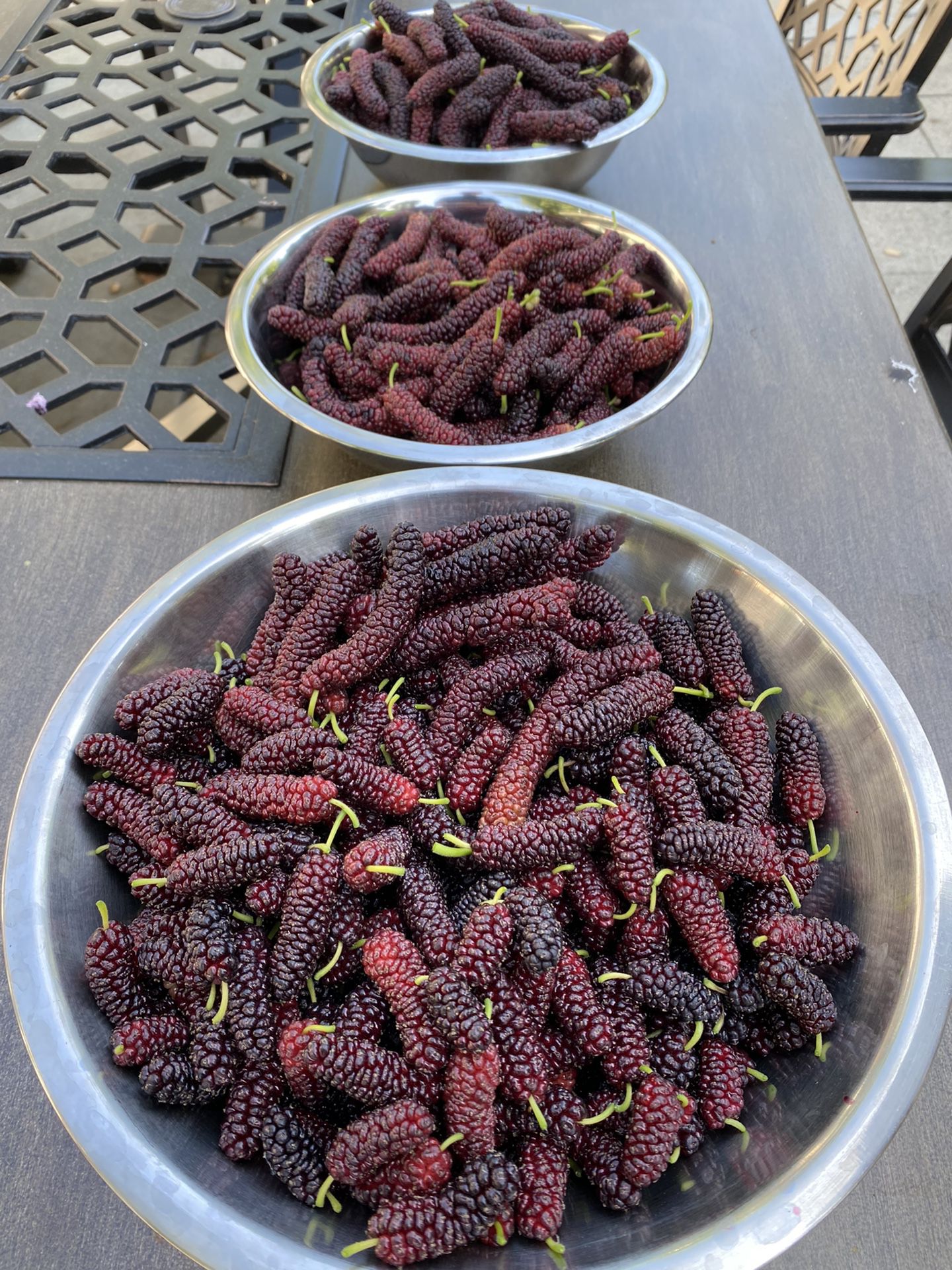Fresh Organic Mulberries 