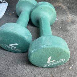 2 7 Pound Weghts