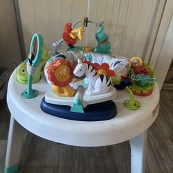 Fisher Price Activity Center