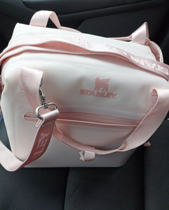 Pink Stanley Cooler Bag