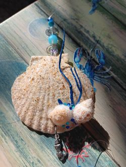Pretty Clam Shell And Small Shell Ornaments, Perfect Addition  For A Coastal Christmas 