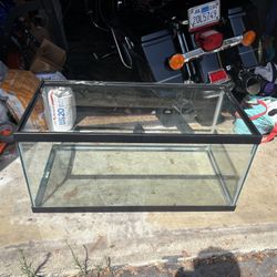 Reptile Tank 
