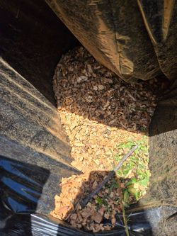 Plum Tree Wood Chips / Branches