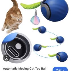 CAT TOY