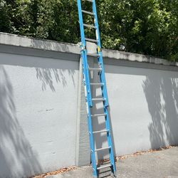 Werner 16 ft. Fiberglass Extension Ladder (15 ft. Reach Height) with 250 Ib. Load Capacity