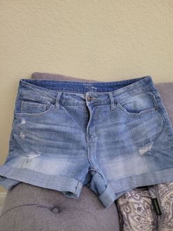 Ladies short Size 14.