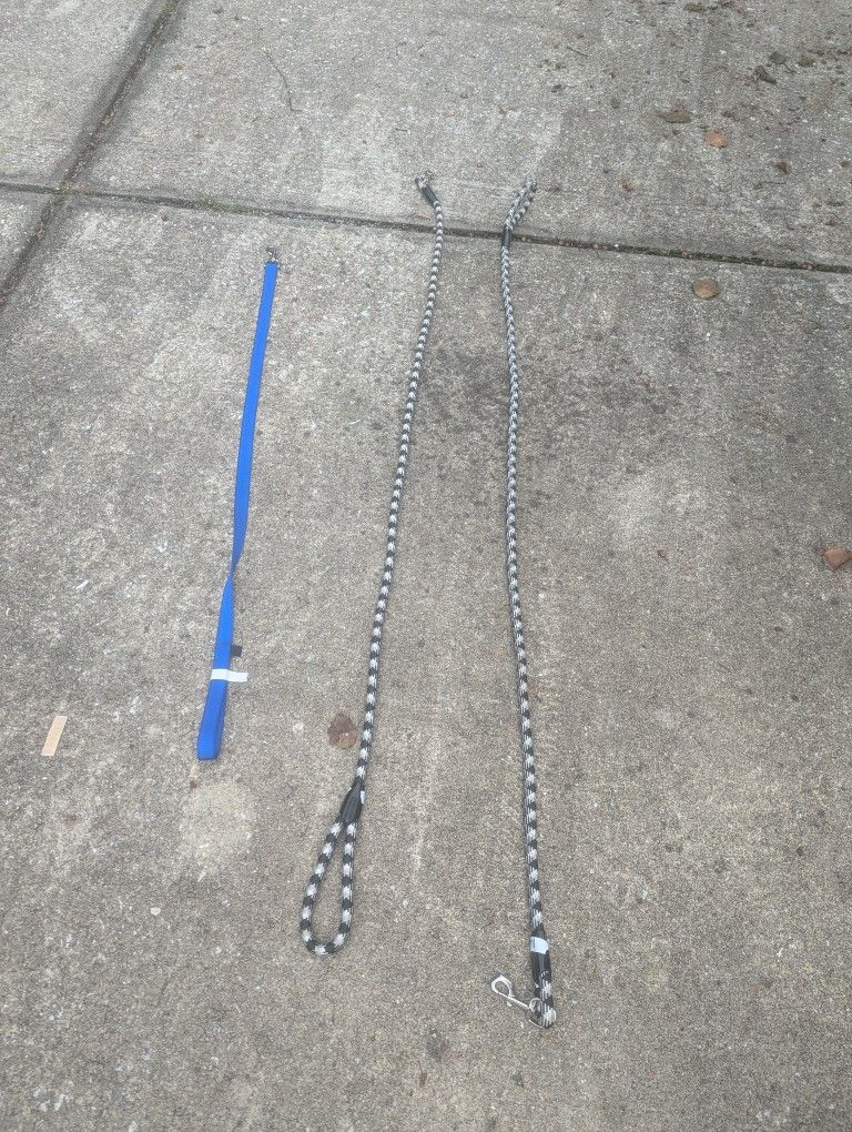 3 Dog Leashes And One Harness