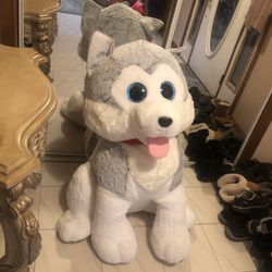 Life-sized Husky