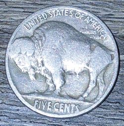 Buffalo nickel