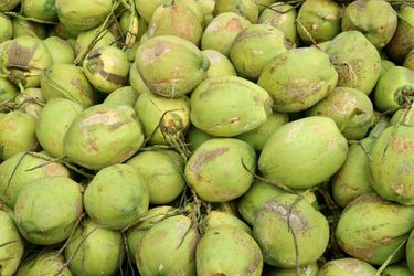 Fresh coconuts .50c each