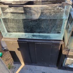 40 Gallon Fish Tank 